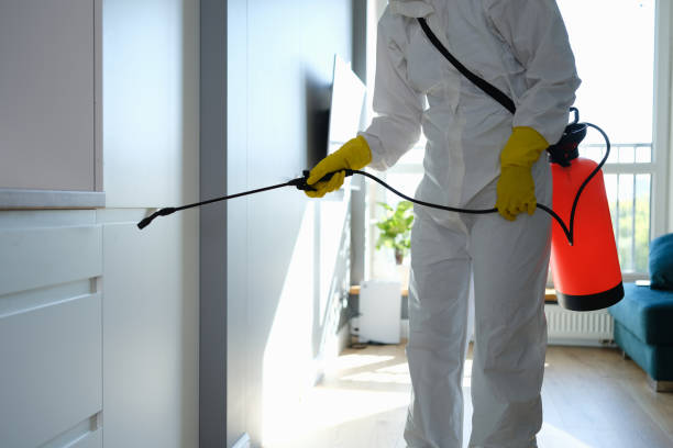 Best Mold Remediation for Healthcare Facilities  in Flora, IL